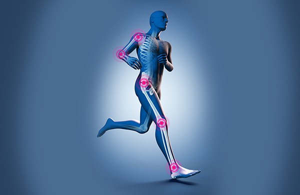 Especialidade que cuida do sistema locomotor humano